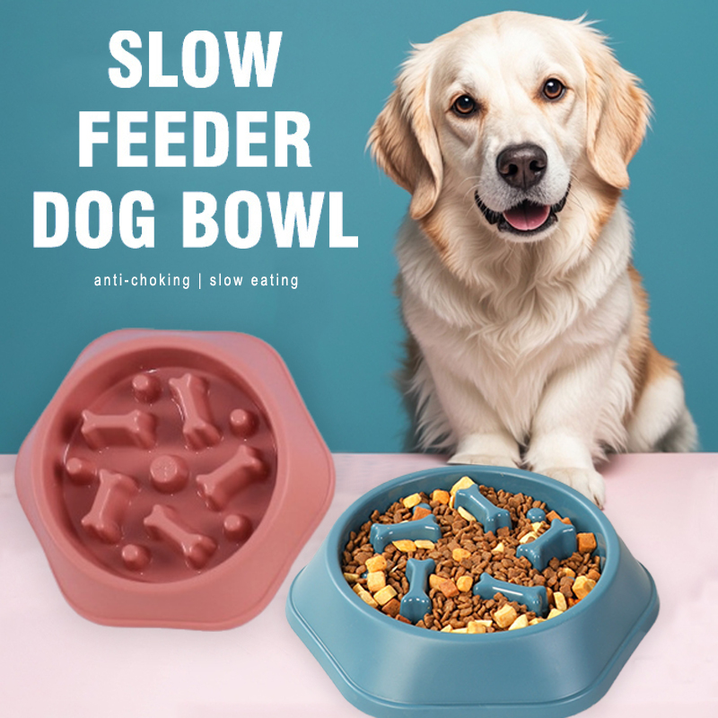Yavaş Yemek Yeme Kabı, Köpekle - Royal Canin Food Medium incelemesi ve fiyatı