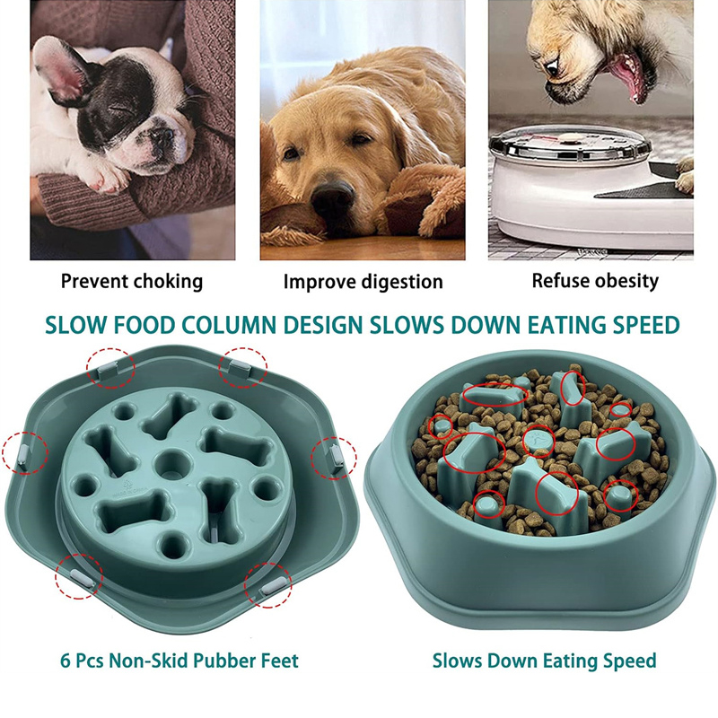 Yavaş Yemek Yeme Kabı, Köpekle - Royal Canin Food Medium incelemesi ve fiyatı